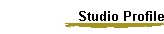 Studio Profile